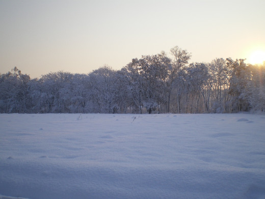 37445 (a): :1024x768